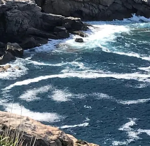 Grand Rez De Jardin Avec Parking à 5 Min à Pieds De La Et Commerces * Calvi (Corsica)